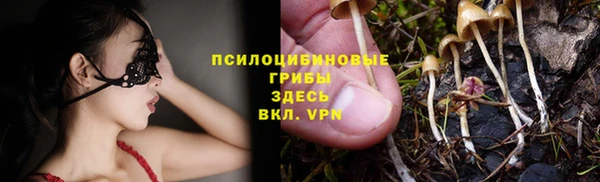 ГАЛЛЮЦИНОГЕННЫЕ ГРИБЫ Карпинск