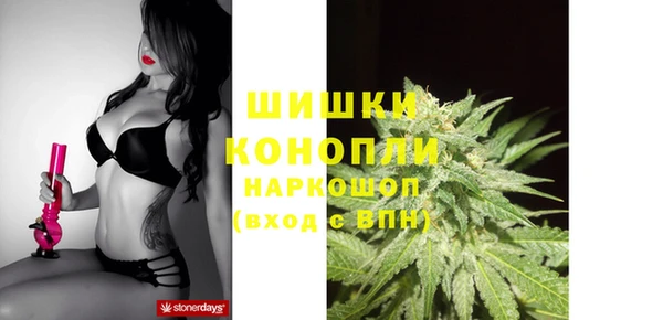 тгк Касимов