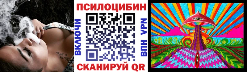 Псилоцибиновые грибы мухоморы Купить закладки Щучье